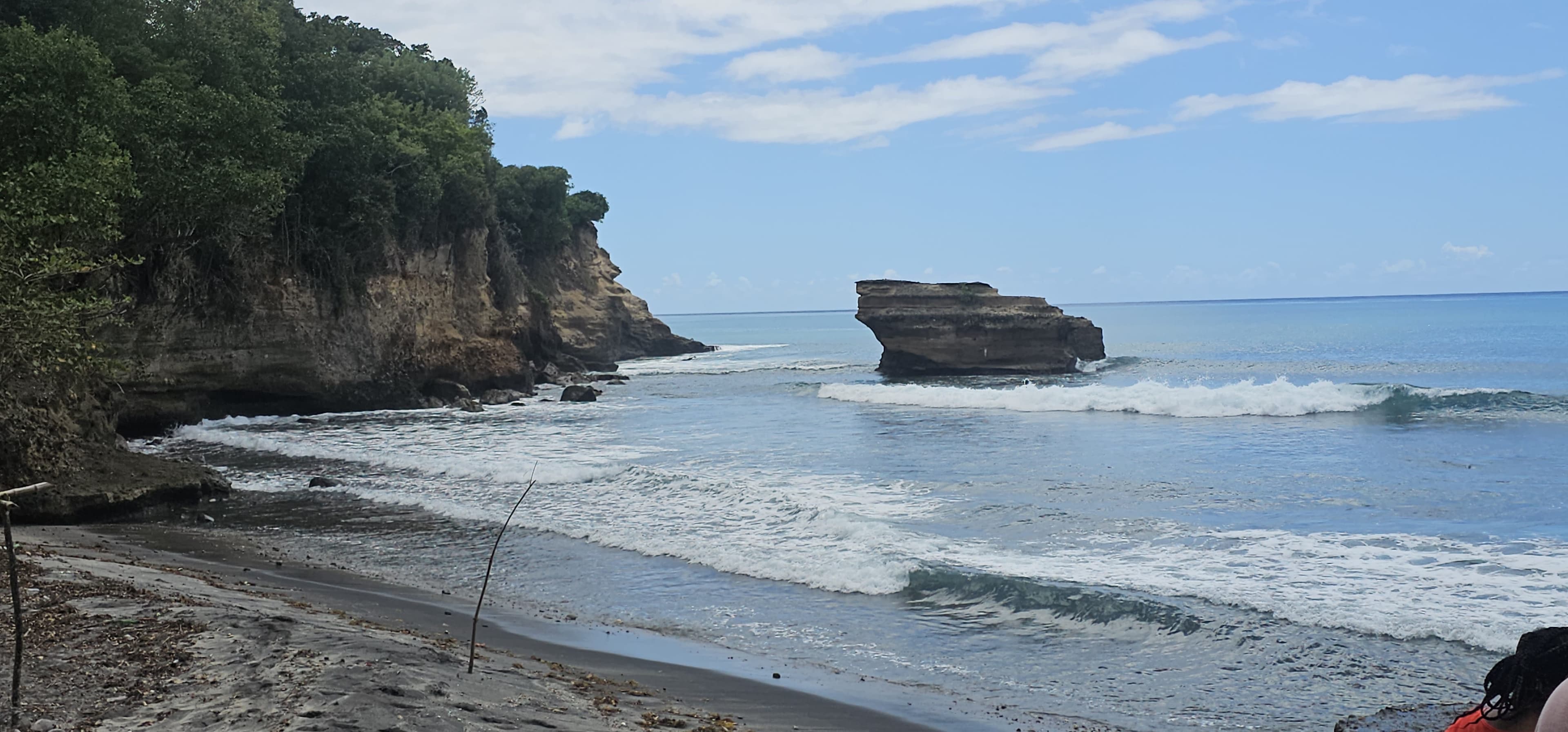 Coastline with turquoise water and a flat-topped rock near a tree-covered cliff